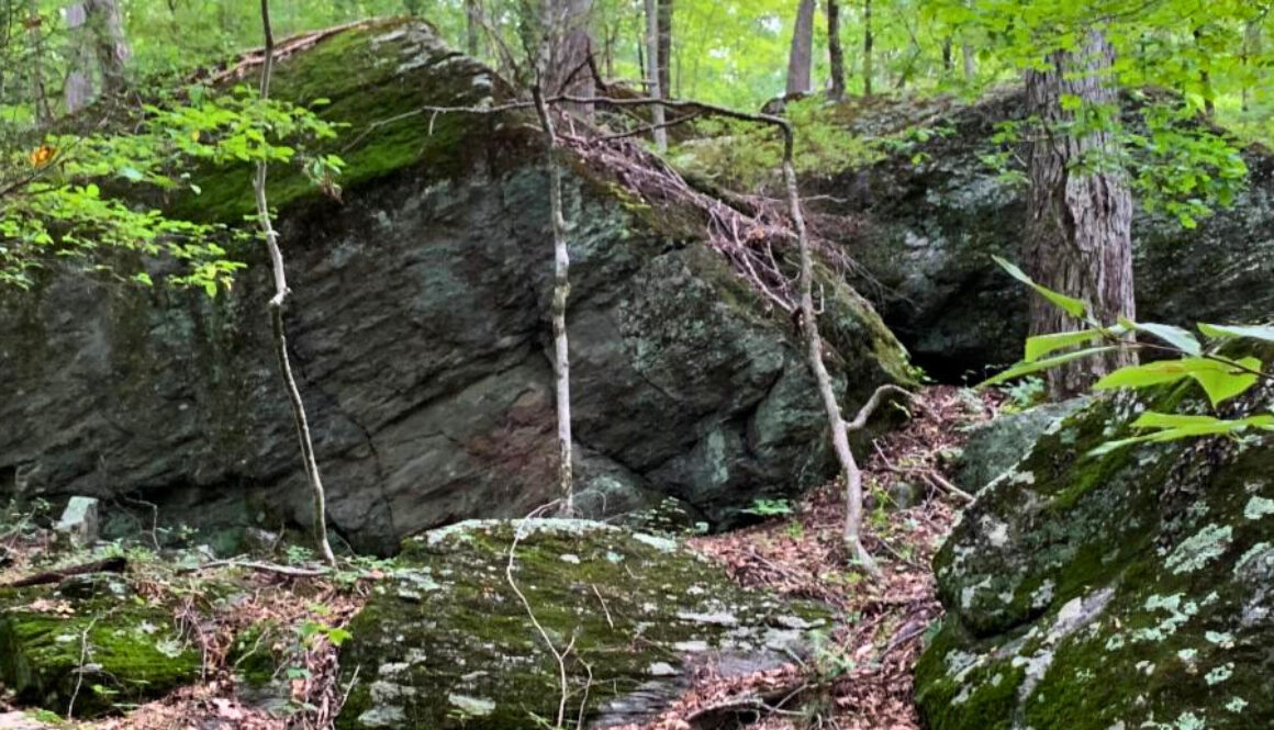 Horrigan Preserve - Rocky Outcropping - Edited