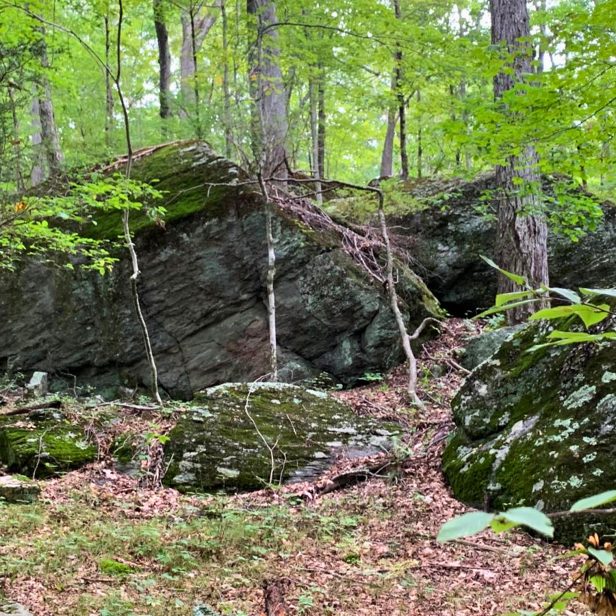 Horrigan Preserve - Rocky Outcropping - Edited