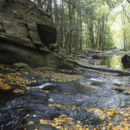 Miller Preserve Addition