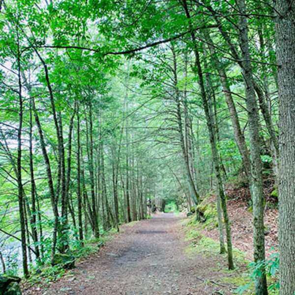 CT Trails Day Hike - Mine Hill Preserve ! - June 1st