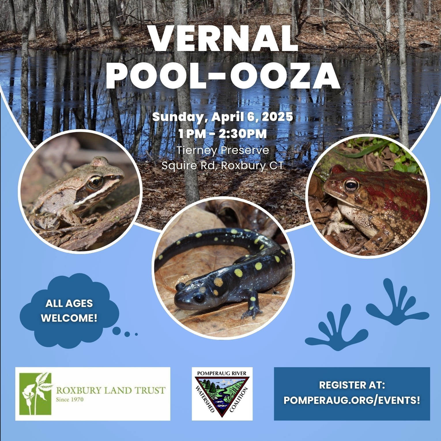 Vernal Pool Program Socials 2025 - Square Crop