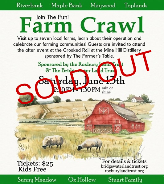 Red “Sold Out” Banner Text