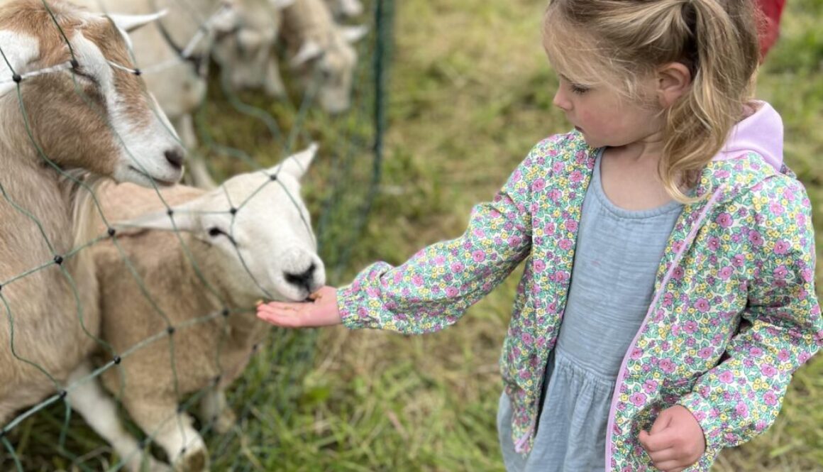 Farm Crawl 2025- Young Girl Feeding Goats
