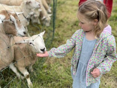 Tours of 7 Farms in Roxbury and Bridgewater Set for June 13