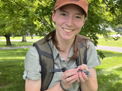 Guided Bird Walk Set for July 17th at Good Hill Preserve